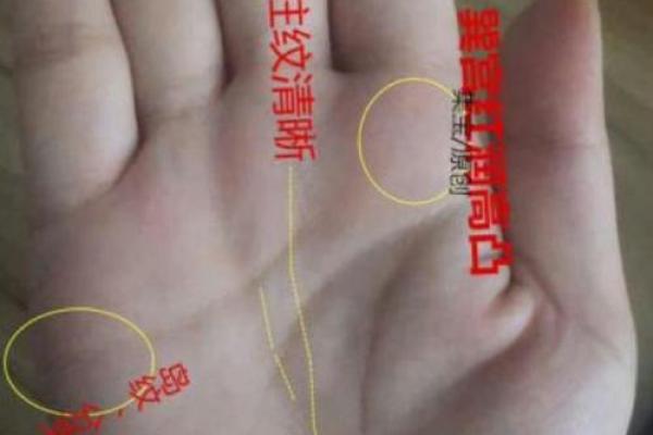 手相揭秘：竖纹暗藏惊人秘密，一看便知运势