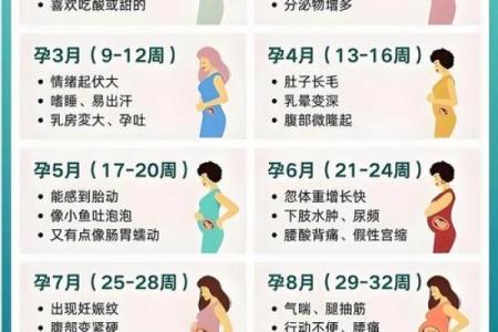 八字揭秘：如何从命理看怀孕的时机与方式