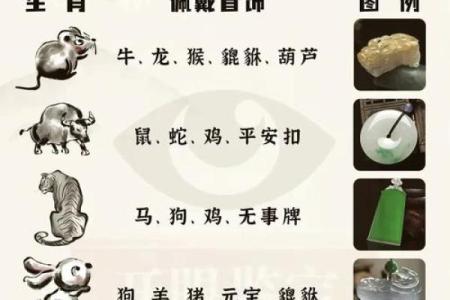 镜中生肖揭秘：你属什么？
