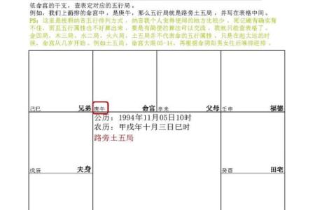 如何通过天纪紫微易经推命排盘精准预测未来，改变人生轨迹