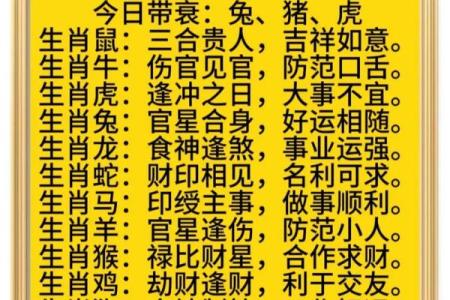 遇生肖，揭秘你的运势秘密