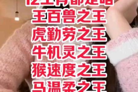 生肖之王：十二生肖的传奇征程