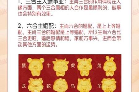虎啸龙腾，猪马相随：揭秘三合生肖的神秘魅力