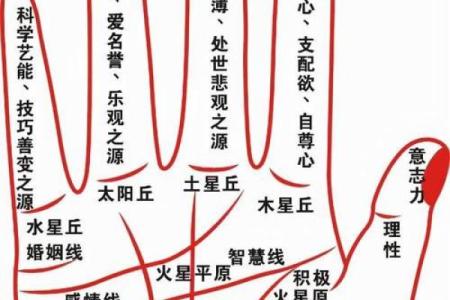 左手右手手相揭秘，揭秘财运事业大揭秘