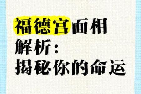 揭秘面相大师：一眼看穿命运的秘密