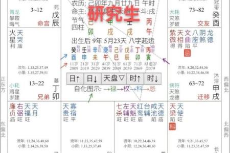 名人紫微命理揭秘：如何从命盘看出成功的密码