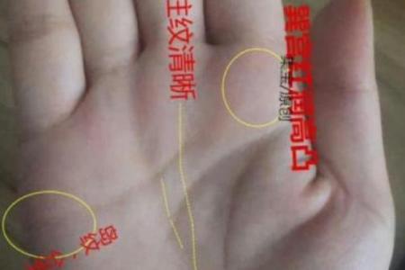 手相揭秘：竖纹暗藏惊人秘密，一看便知运势