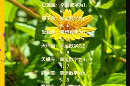 揭秘9月7日星座密码：解锁你的专属魅力