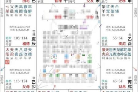 一次性了解紫薇排盘：破解命运密码，精准规划人生轨迹