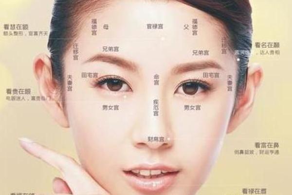 面相揭秘：六府奥秘大公开，一眼看穿命运走势