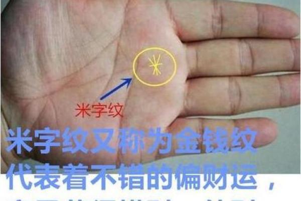 井字纹月丘手相揭秘：运势大揭秘，快来一探究竟