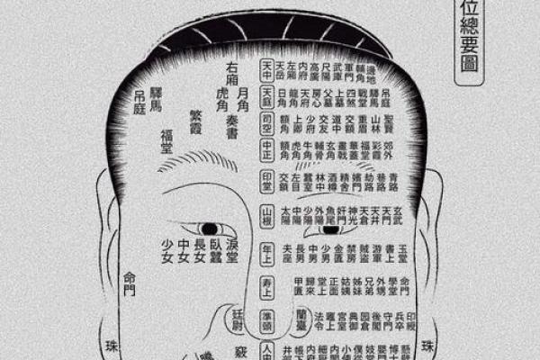 面相大师亲授：如何从面相看出财运亨通