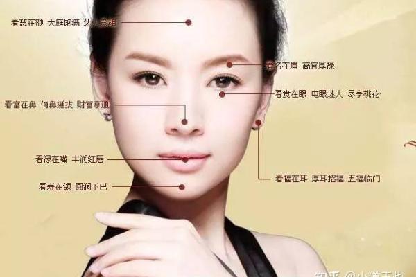 识人秘术：面相解读，一眼看穿命运之谜