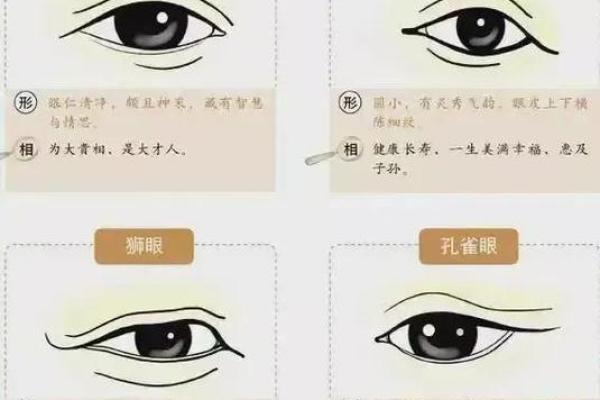 识人秘术：面相解读，一眼看穿命运之谜