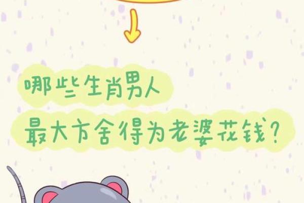 猪你幸福，揭秘最适合你的生肖伴侣