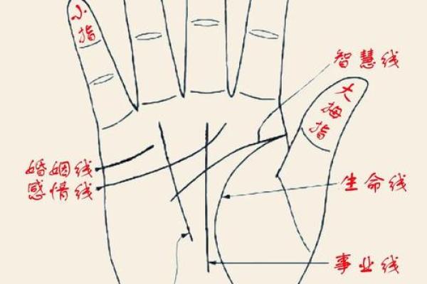 手相奥秘：揭秘你的命运密码
