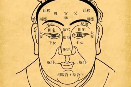 面相揭秘：如何一眼看穿真实年龄