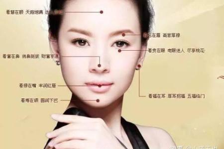 识人秘术：面相解读，一眼看穿命运之谜