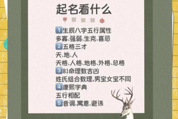 广东宝宝起名公司：根据八字五行定制专属姓名