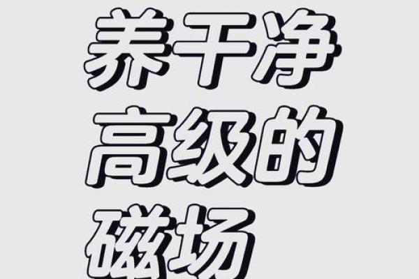 阴阳调和，家居风水秘籍，打造幸福生活磁场