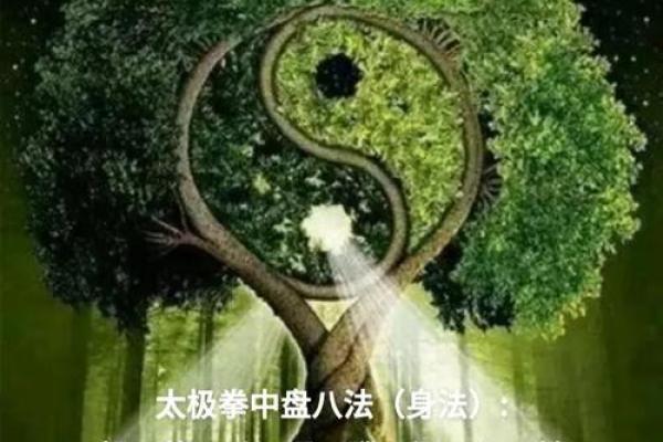 八字太极的深度解析，让你轻松掌控人生方向