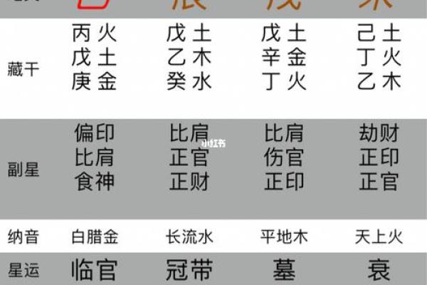 专家教你生辰八字排盘技巧，轻松掌握命理奥秘