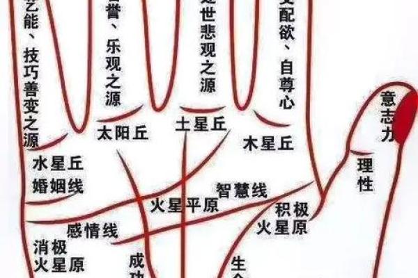 手相揭秘：一招看穿腰椎问题，告别腰痛困扰