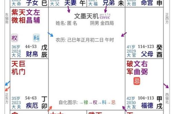 用紫微自动排盘软件，快速洞悉未来的趋势