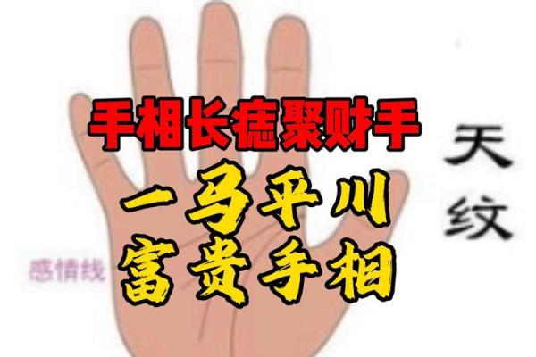 手相痣相宝典，图解大全，揭秘命运转折点