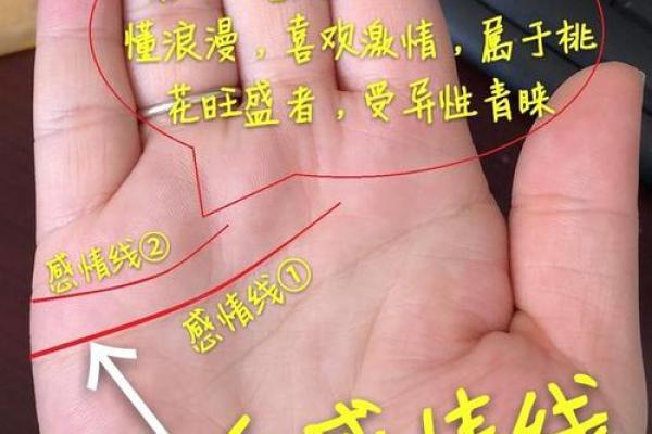 揭秘：为何年龄小就不给看手相？手相奥秘等你来解锁
