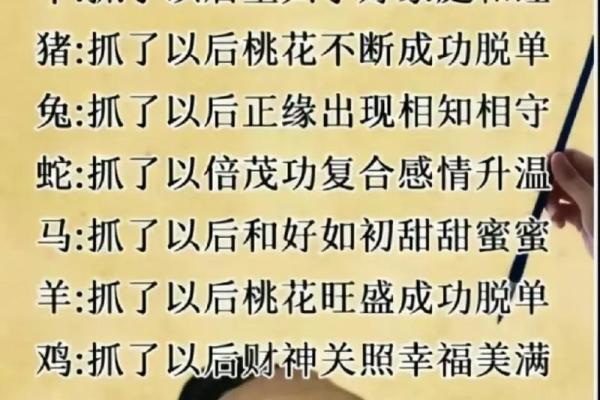 男羊女蛇天生一对？揭秘最佳婚配之道