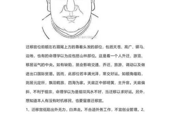 识面达人必备：精准解析，揭秘面相奥秘
