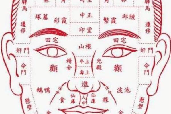 面相揭秘：五官布局决定命运，解锁人生运势密码