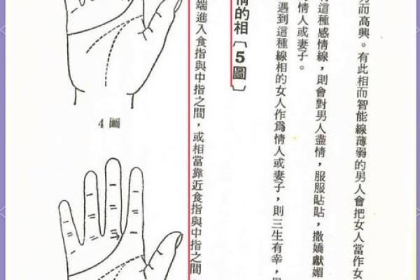 男女有别手相图解揭秘，男左女右大揭秘，揭秘你的命运之谜