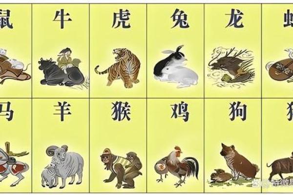 莲花指生肖：揭秘十二生肖中的神秘力量