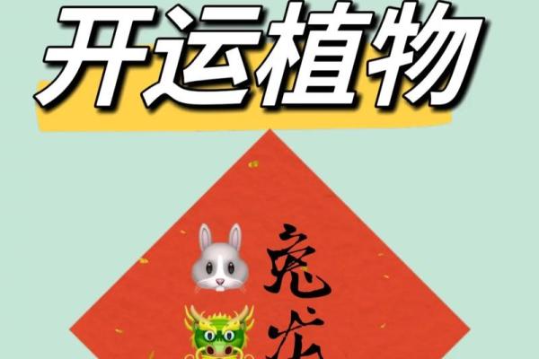 生肖东皿，揭秘你的运势密码