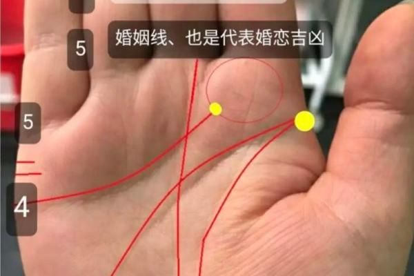 女性婚姻线深度揭秘：手相解读女性幸福婚姻密码