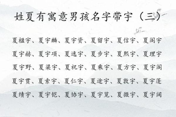 “硕”字起名，寓意深远，助力宝宝未来光辉