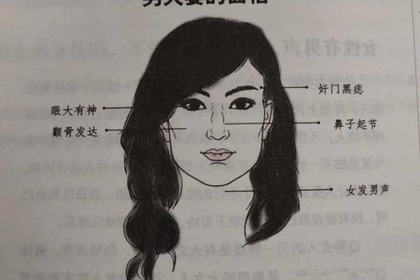 麻衣神断：揭秘面相奥秘，一眼看透人心