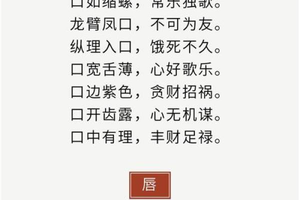 麻衣神断：揭秘面相奥秘，一眼看透人心