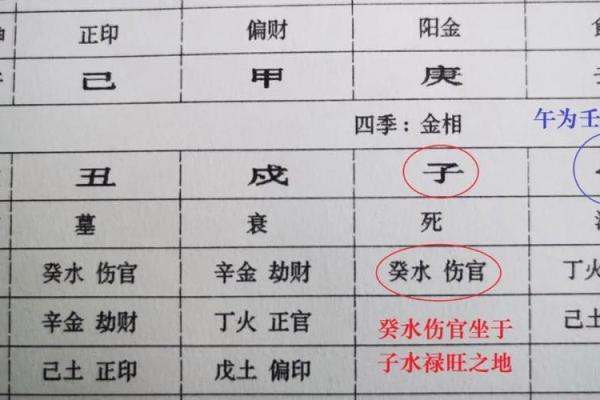 一学就会的批八字技巧，助你看懂人生轨迹