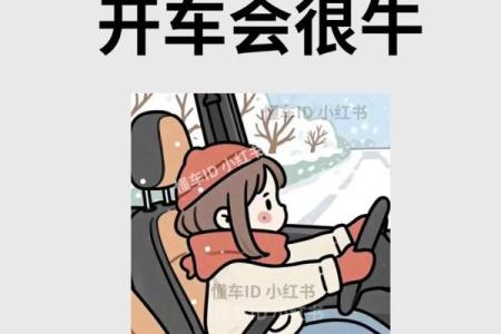 会开车的命理：如何通过命理分析提升驾车技巧