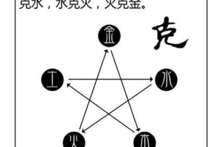 易奇命理婚姻树揭秘：找到你的命中注定另一半