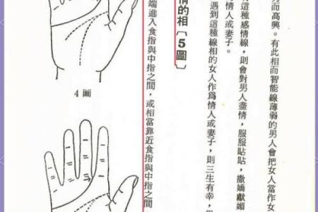 男女有别手相图解揭秘，男左女右大揭秘，揭秘你的命运之谜
