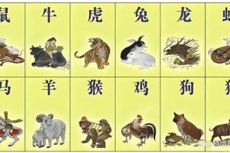 莲花指生肖：揭秘十二生肖中的神秘力量