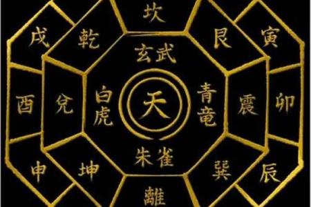 天干原神解密：如何利用五行力量提升运势