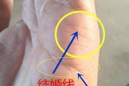 女性婚姻线深度揭秘：手相解读女性幸福婚姻密码
