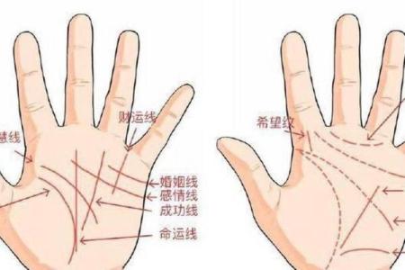 揭秘手相婚姻线：一招看穿你的爱情运势