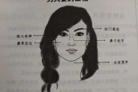 麻衣神断：揭秘面相奥秘，一眼看透人心
