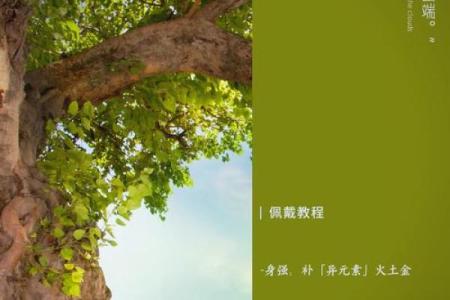 五行揭秘：逢字背后的秘密你了解吗？